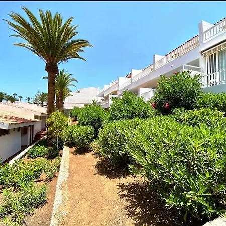 Apartment Estudio Paradero